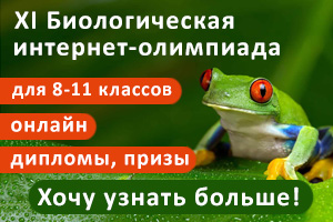 ЭКОЛМИЛ